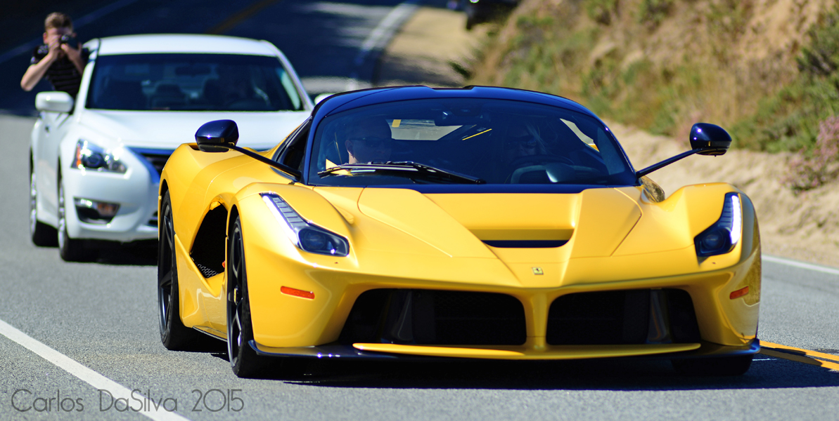 DSC_8440.JPG