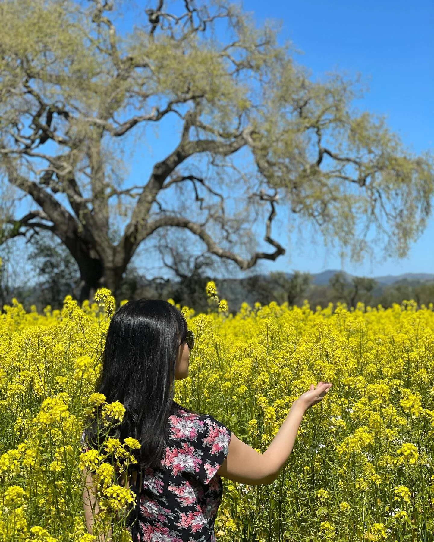 &ldquo;A Light exists in Spring
Not present on the Year
At any other period &mdash;
When March is scarcely here

A Color stands abroad
On Solitary Fields
That Science cannot overtake
But Human Nature feels.

It waits upon the Lawn,
It shows the furth
