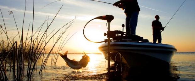 Photo by: Sweet Lines Charters