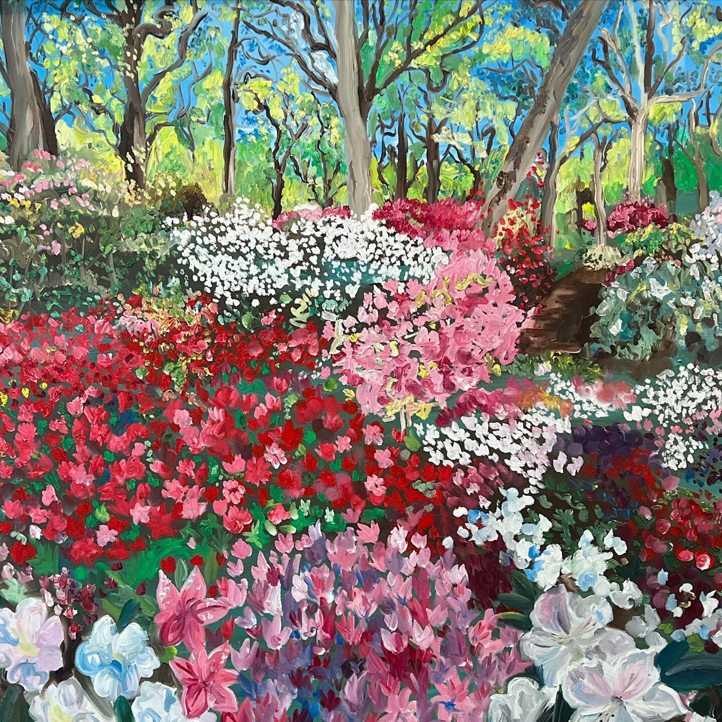 Neve Husaini, Isabella in Bloom, 100x100cm, Oil on Canvas, &pound;950

This piece is off to Florida, but more of Neve&rsquo;s Isabella Plantation Collection will be released later this month

#oiloncanvas #impressionism #hockney #contemporarylandscap