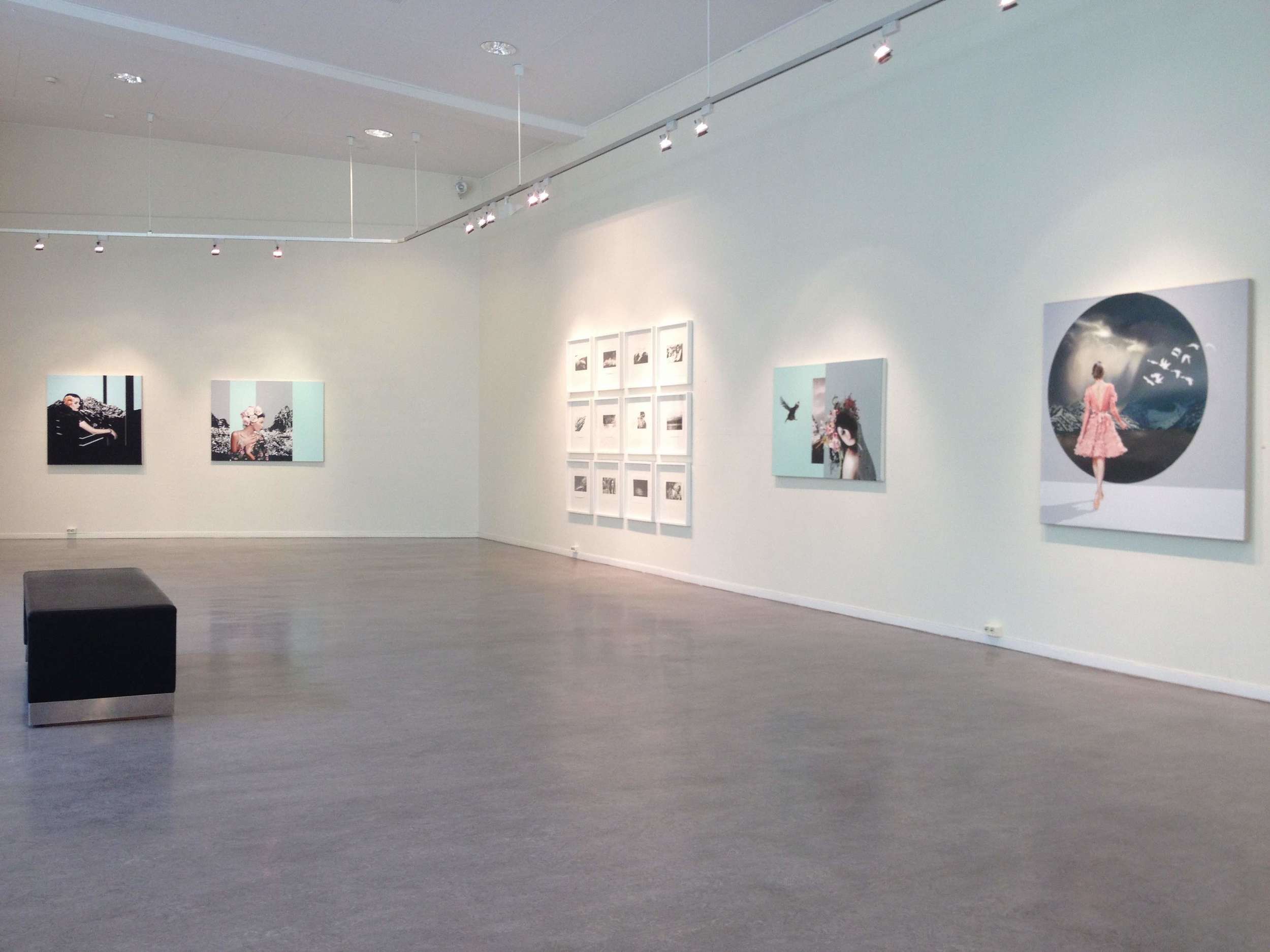 Image from Aalesund Kunstforening - grid of drawings from Dark Skies (2012 - 2013), and 4 paintings from Velvet Bloom (2014 - 2015). 