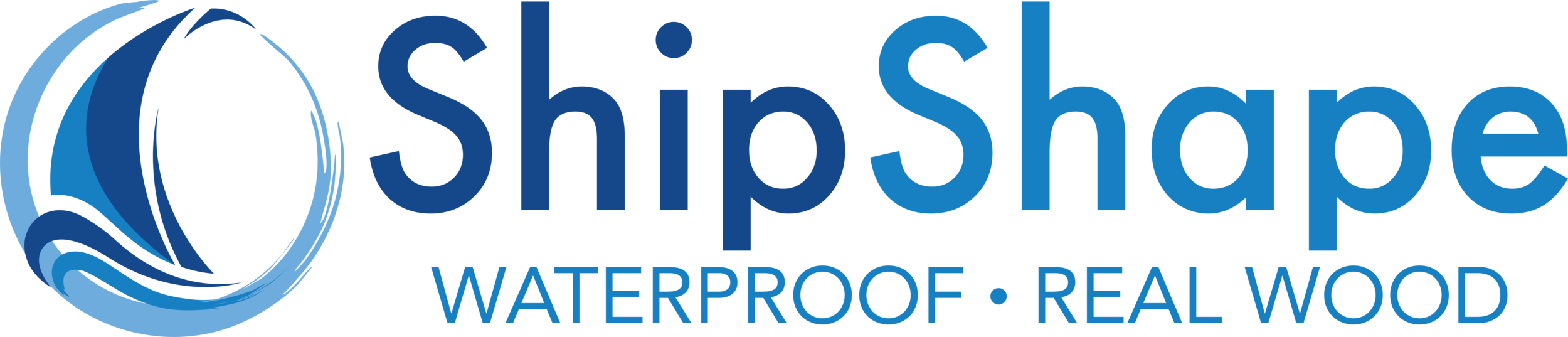 ShipShape_Logo.png