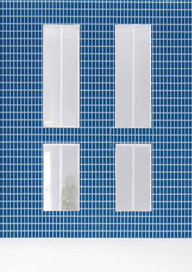 087_bandierina_facade_zoom.jpg