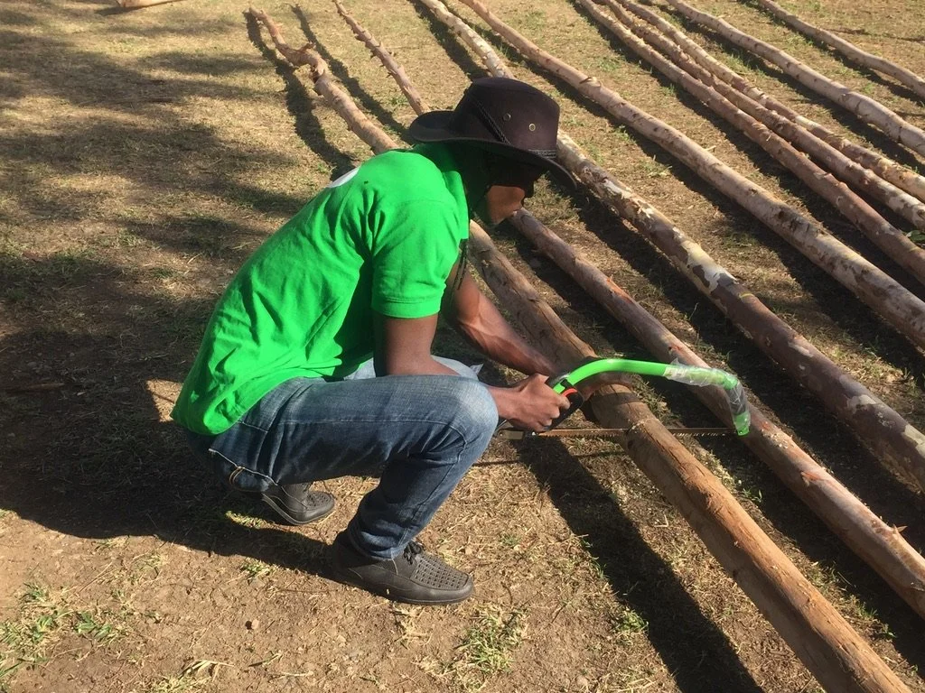 Poles are cut for roof rafters
