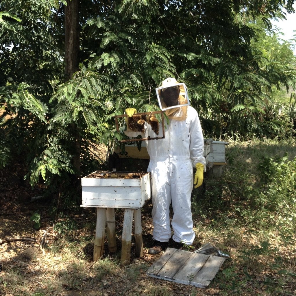 JP sets up beekeeping for farmers