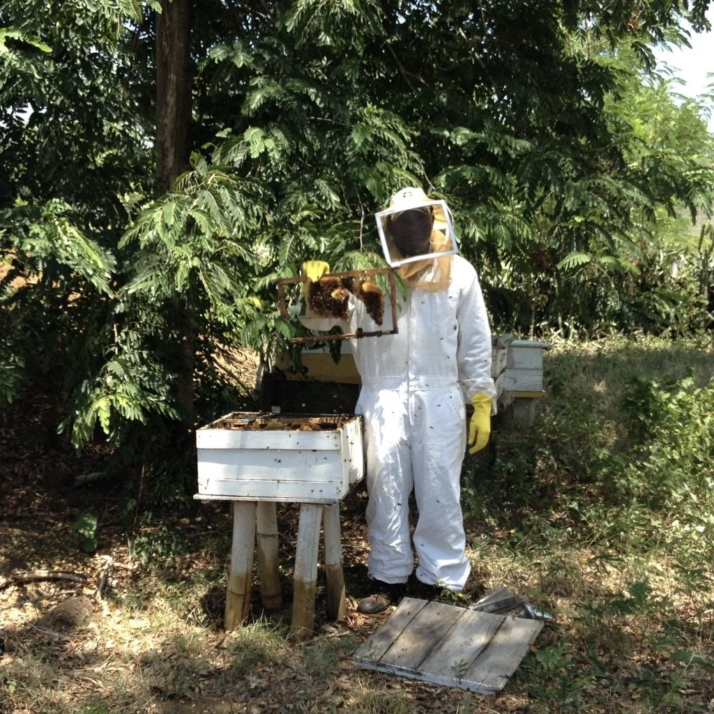 We train farmers in beekeeping