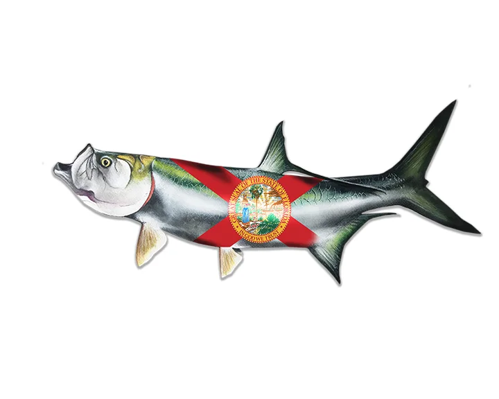 Florida Tarpon