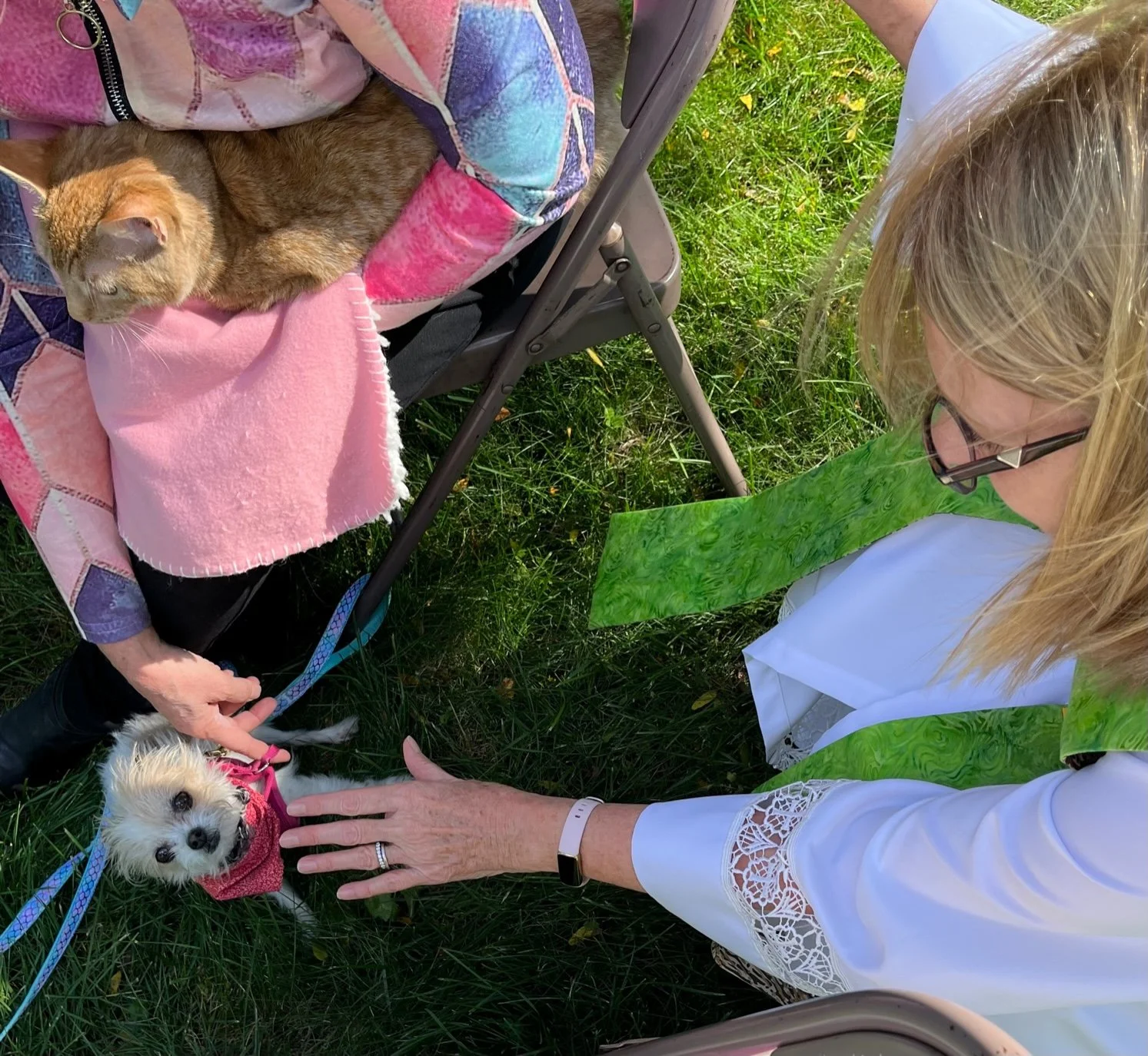 2022 Animal Blessing 13.jpg