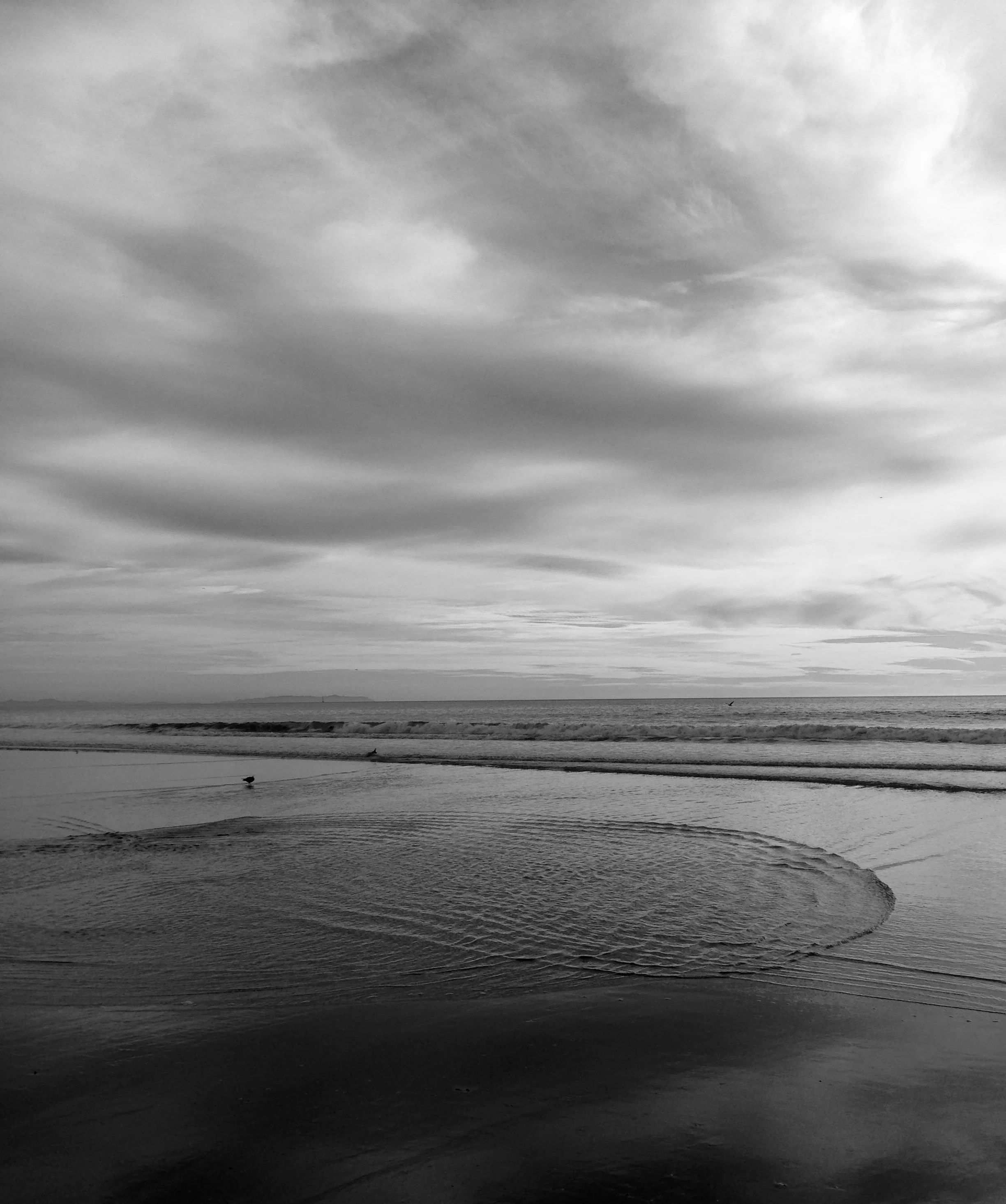 IMG_2659 upload bw .jpg