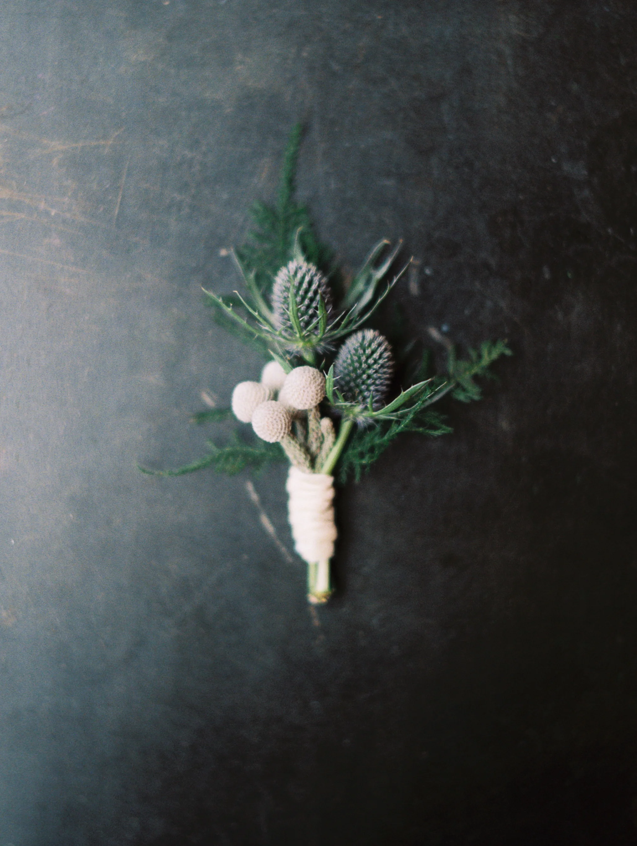 © Kate Ignatowski