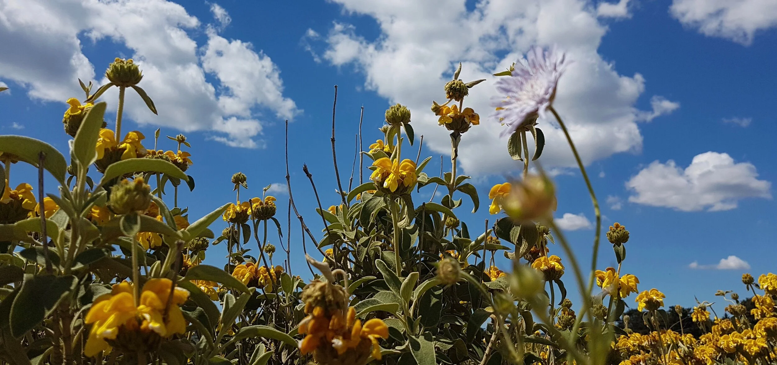20190430_113322.jpeg