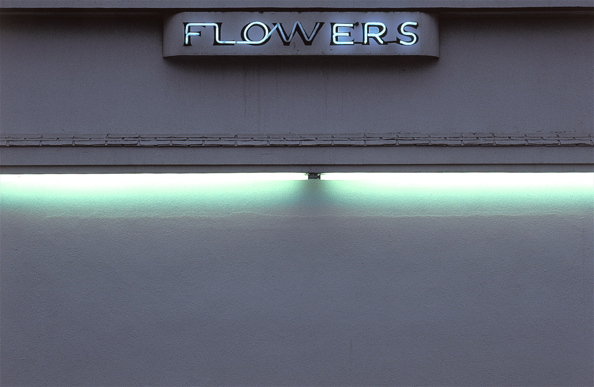 082.NeonFlowers.jpg