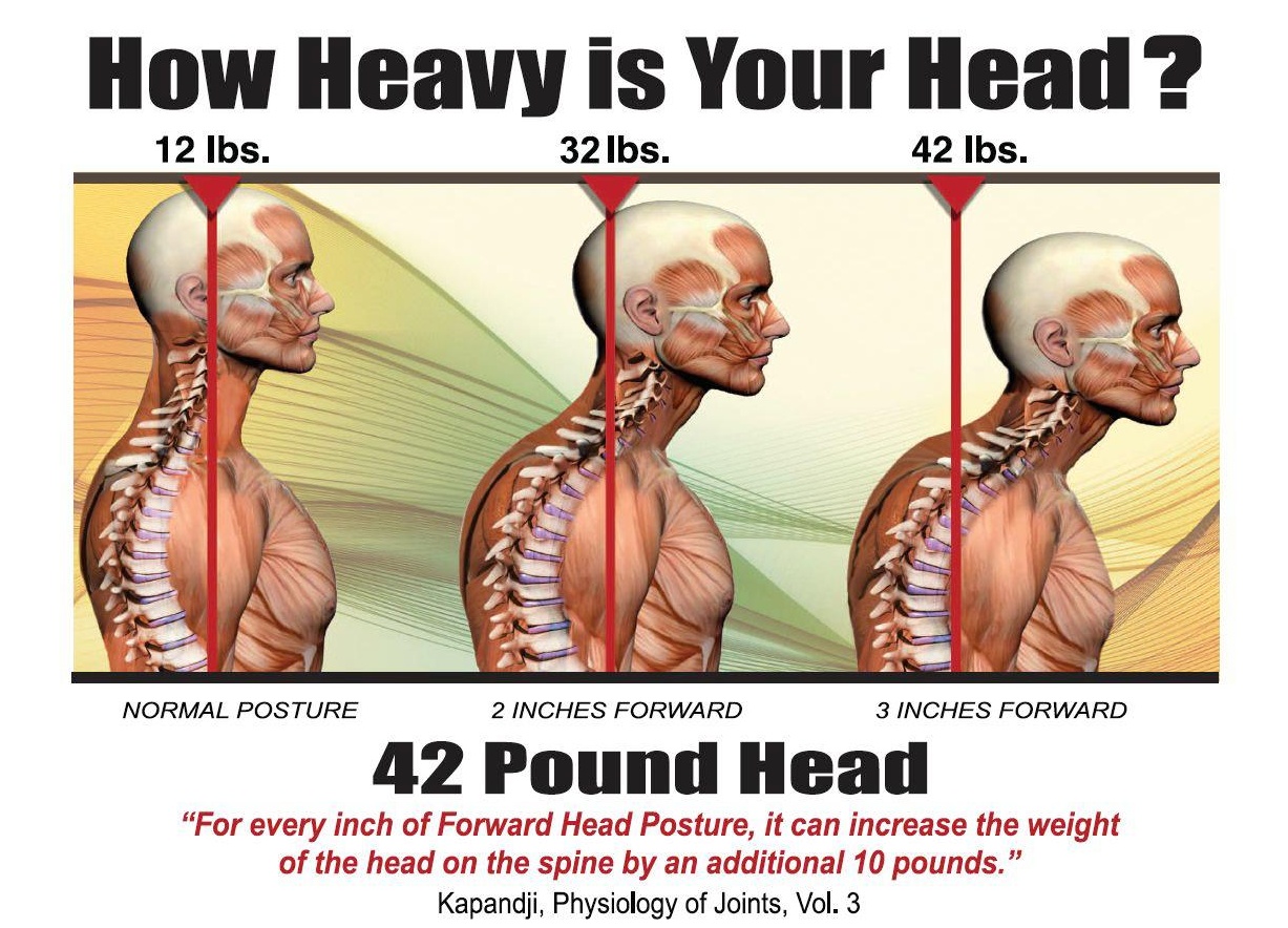 Slide 4 -- How Heavy is your Head.jpg
