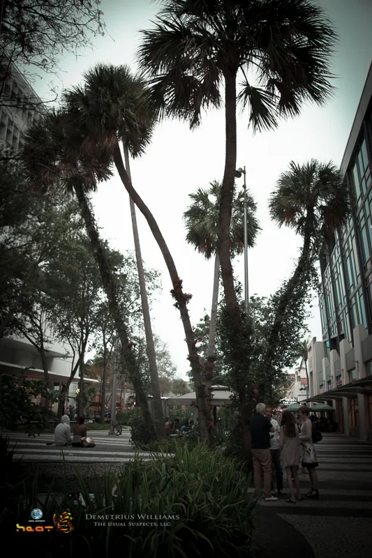 Lincoln Rd. - Miami Beach, FL