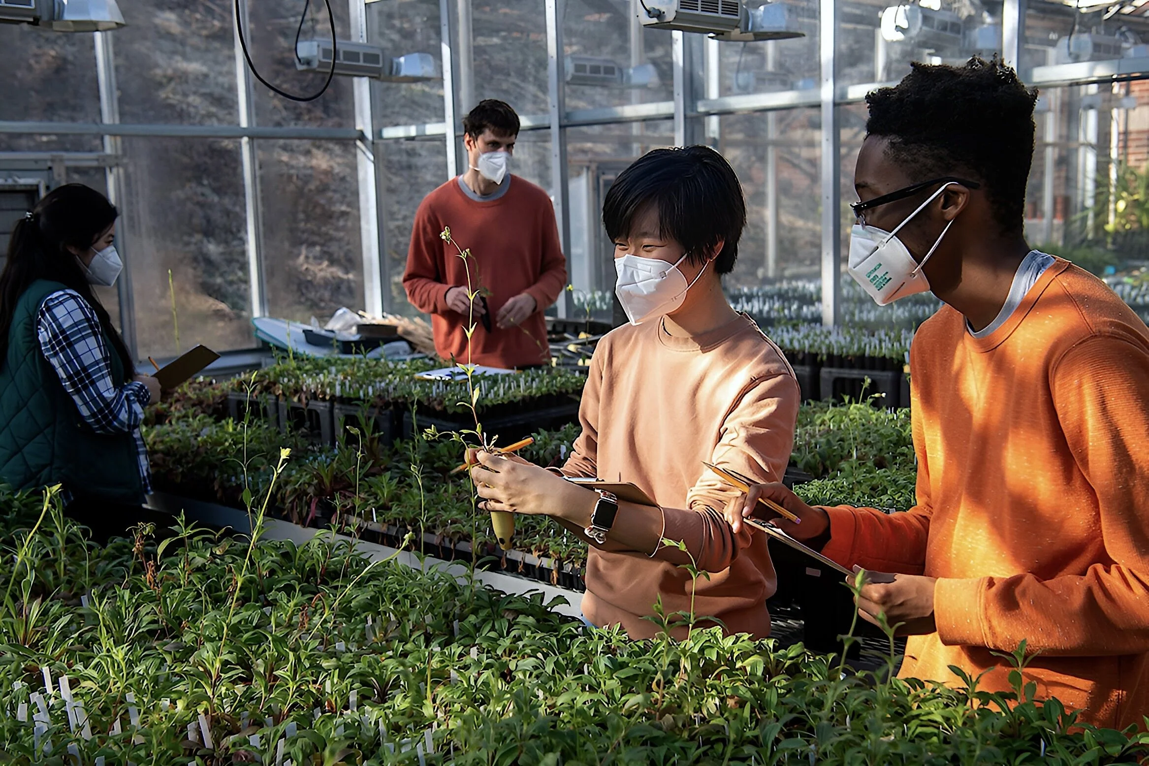 Plant biology - 3.jpg