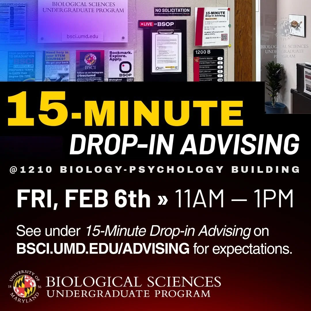 TOMORROW (FRI, FEB 6th). See under 15-𝘔𝘪𝘯𝘶𝘵𝘦 𝘋𝘳𝘰𝘱-𝘪𝘯 𝘈𝘥𝘷𝘪𝘴𝘪𝘯𝘨 on BSCI.UMD.EDU/ADVISING for expectations. Link in bio.