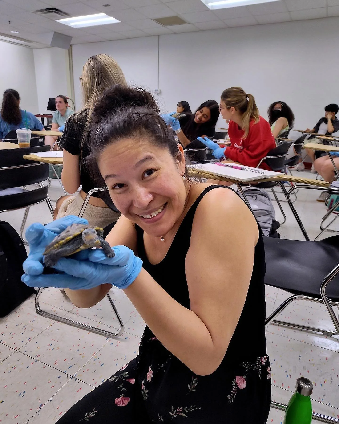 TBT: Throwback to last May when BSCI Terps in Dr. Sarah Lee&rsquo;s Marine Ecology course (BSCI473) engaged with juvenile terrapins while learning about educational and conservation outreach efforts. 🌎🐢✨