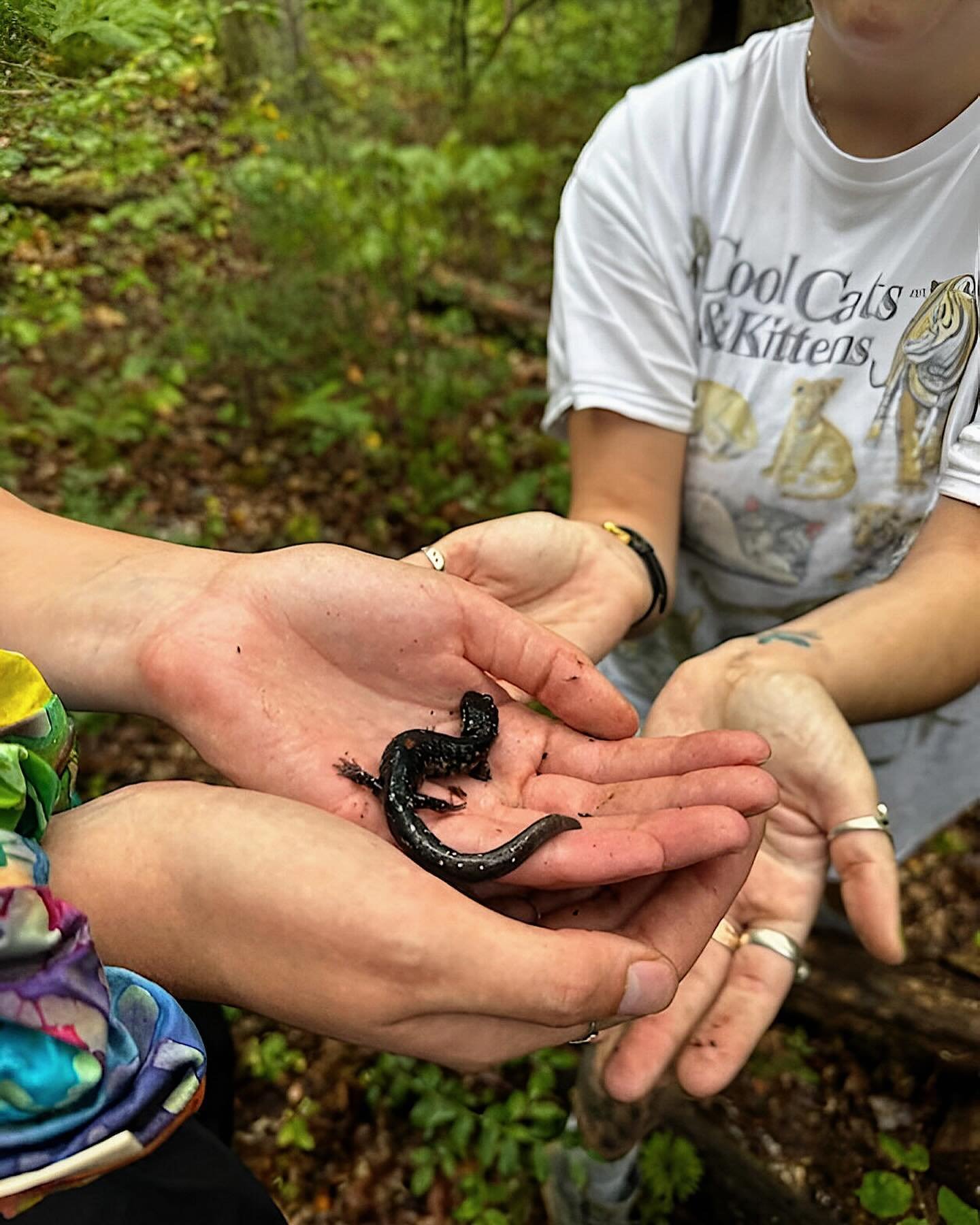 What do you do after it rains on your camping trip?  If you&rsquo;re a Life Sciences Scholar, you go herping! @scholars.lifesciences