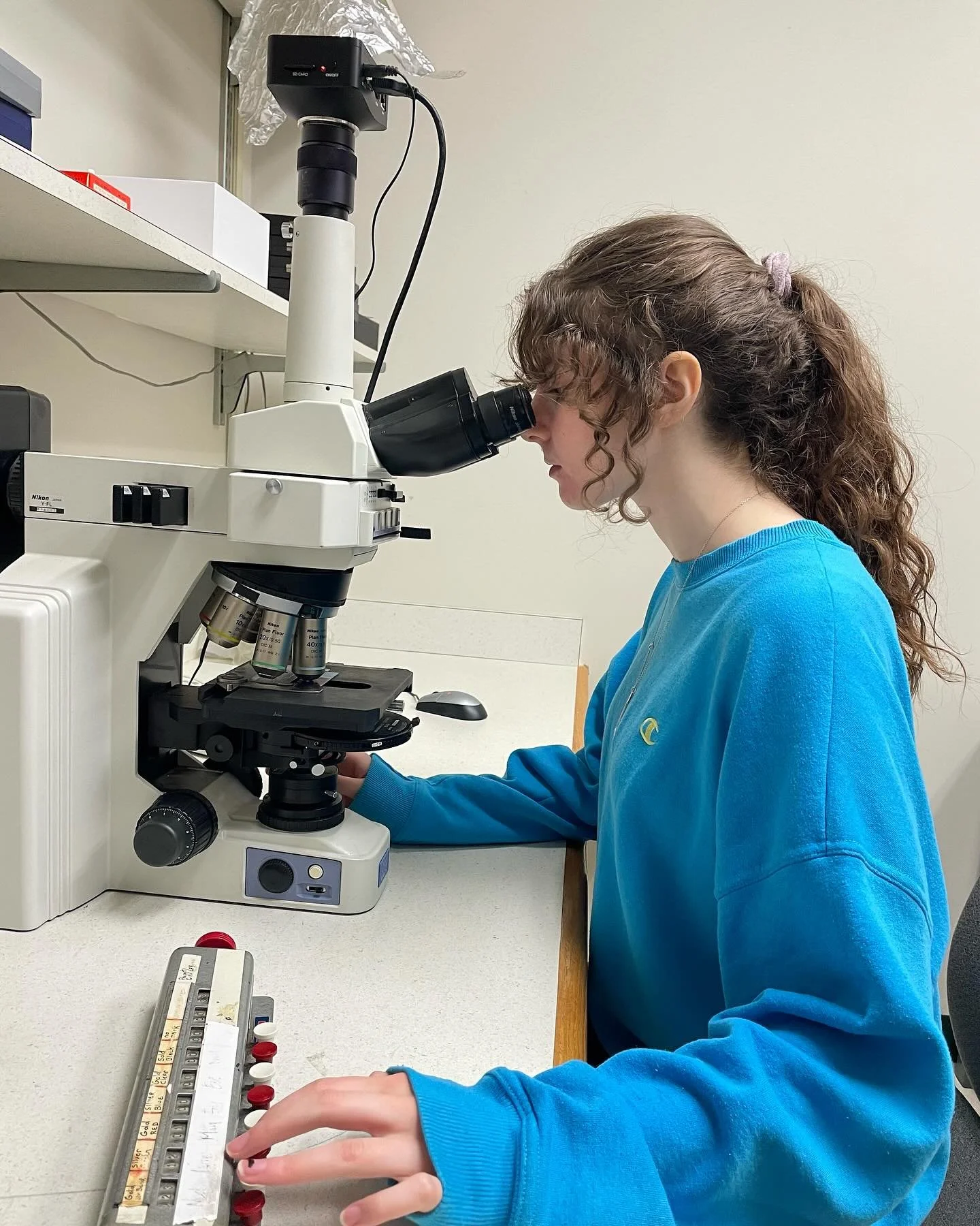 Bats are known for their impressive lifespan and unique immunity. Inflammation typically increases with age, but would this be the case in such a long-lived mammal? @bsciumd Terp Jillian Kaiser, with her mentor Dr. Gerald Wilkinson, found that a biom