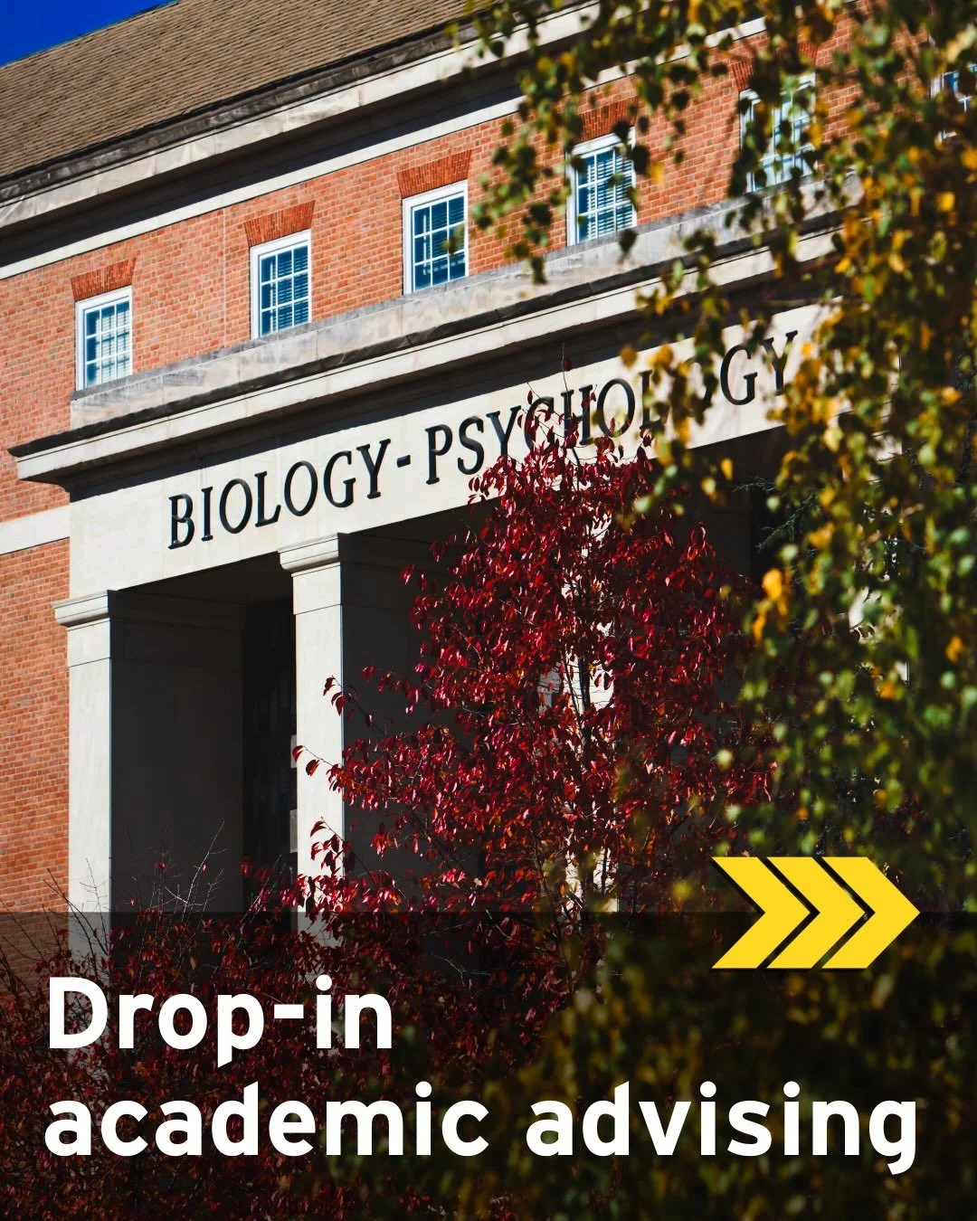 * (Amended) Fall 2026: Students enrolled in Biological Sciences can meet with an academic advisor for drop-in advising at&hellip;

1210 biology lounge in Biology-Psychology Building (BPS)

from 10 am to 12 pm on the following dates:

Thursday, Septem
