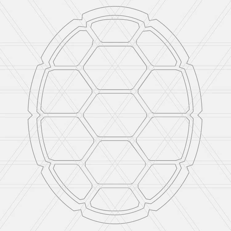 Graphic of a gray terrapin shell.