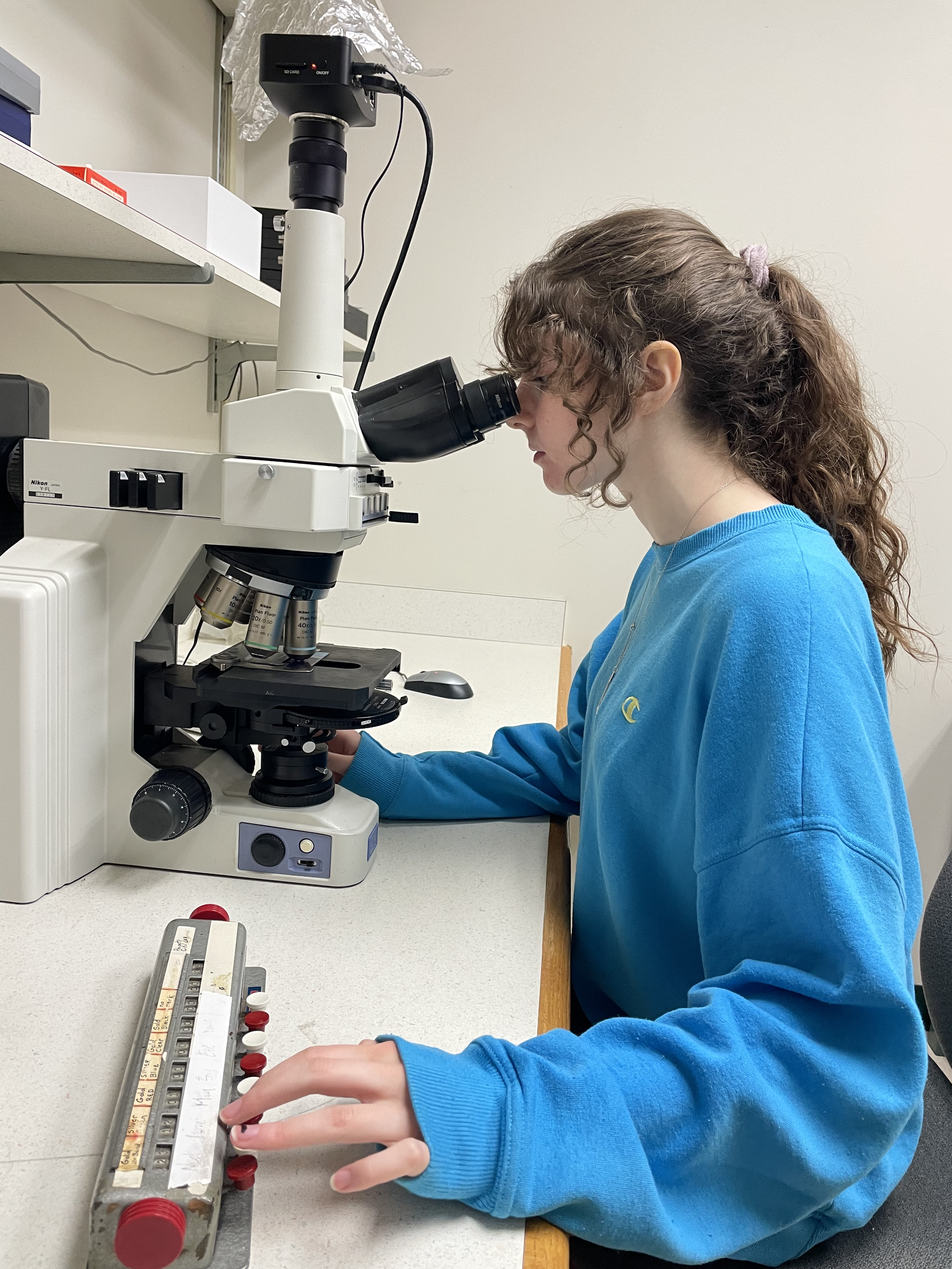 A student with long brown hair and a blue sweater looks into a lab microscope.