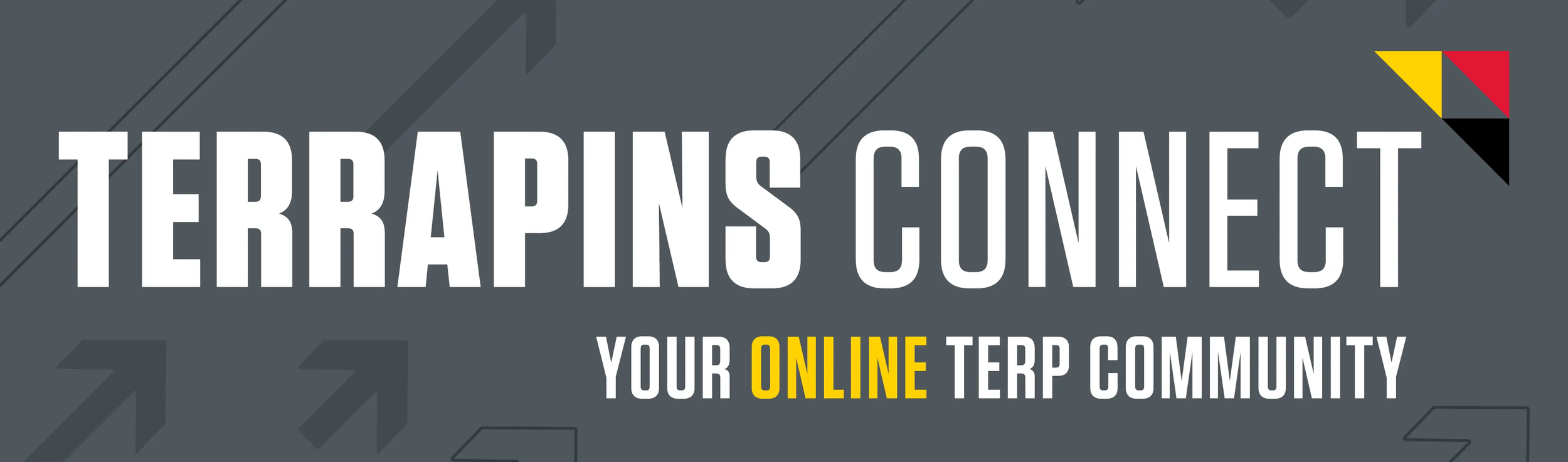 University of Maryland logo for Terrapins Connect agains a gray background.