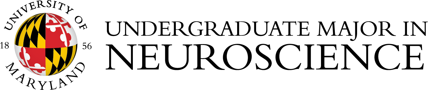 University of Maryland logo for the Undergraduate Major in Neuroscience.