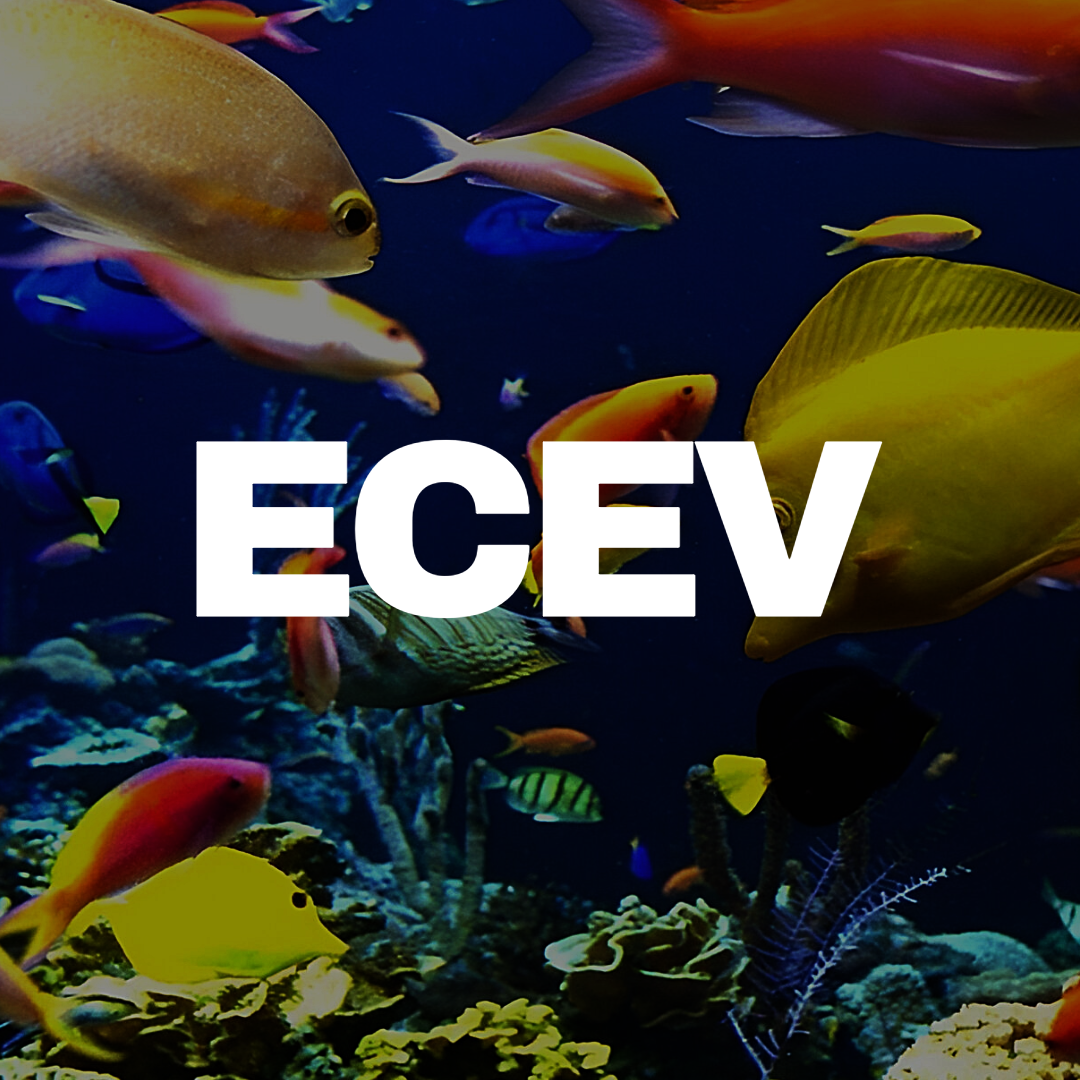 Bold white text that reads "ECEV" agains a background of fish in the ocean.