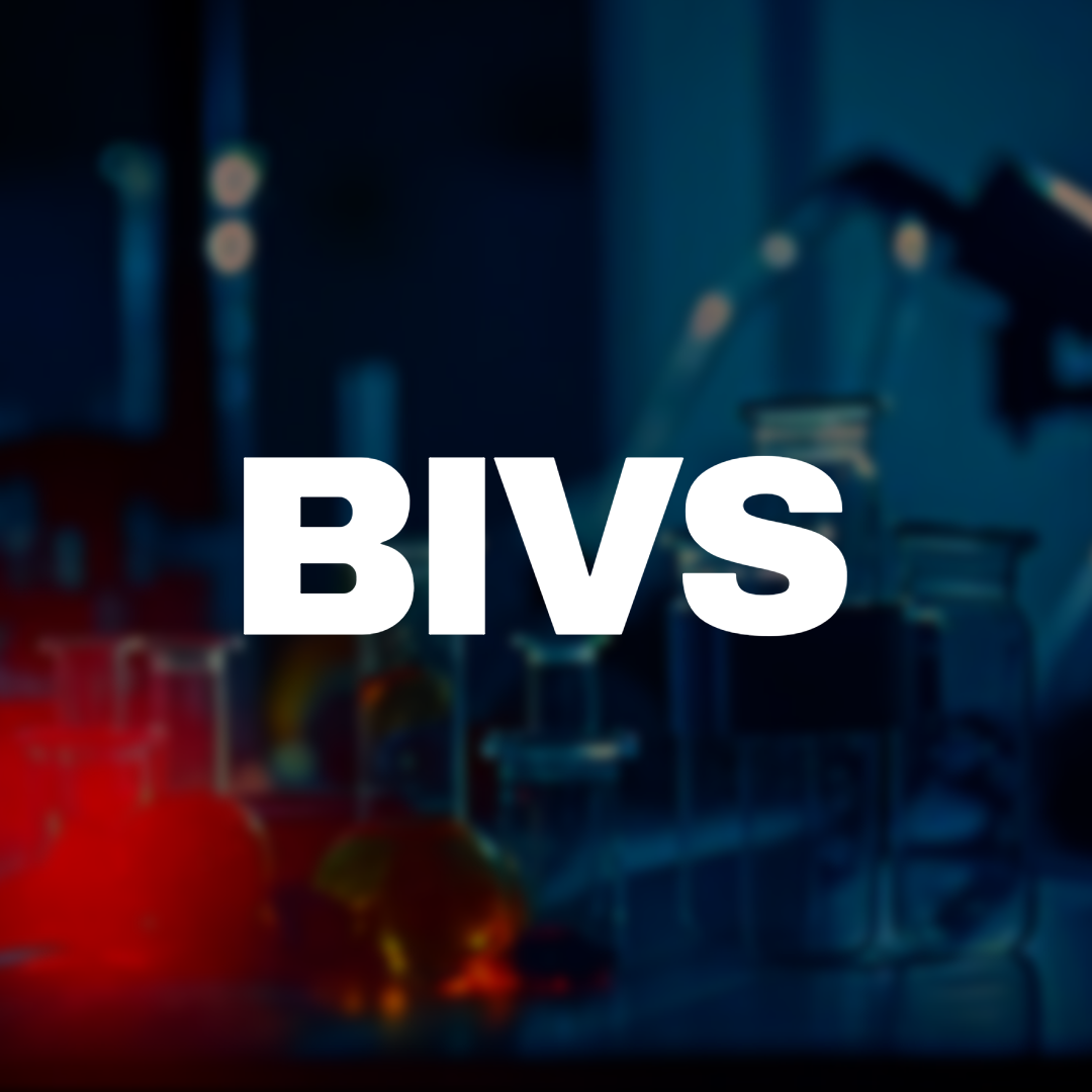 Bold white text that reads "BIVS" against a dark blue and red background.