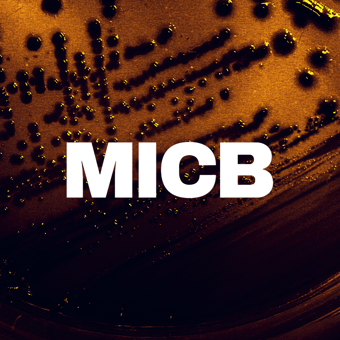 Bold white text that reads "MICB" on a dark orange background.