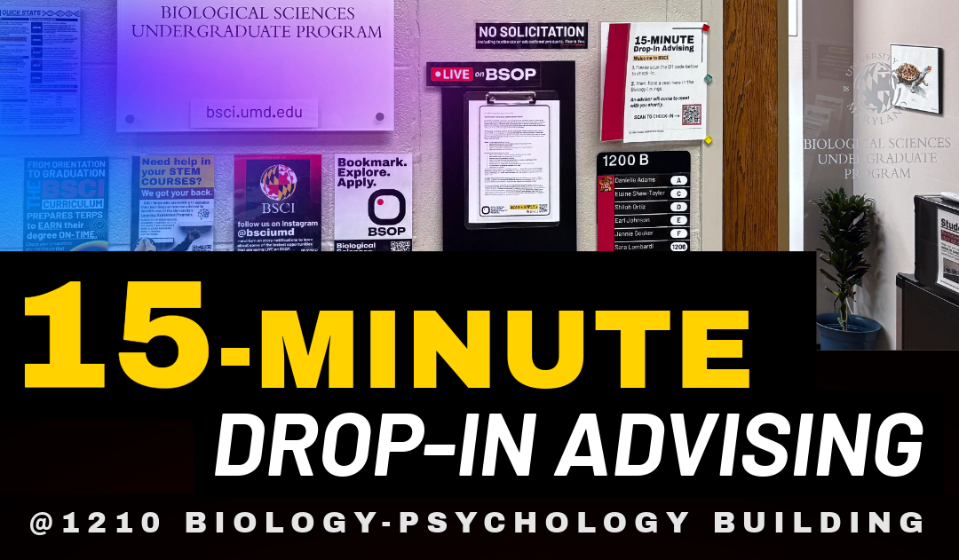 Bold, yellow text reads "15-MINUTE DROP-IN ADVISING" on a black background.