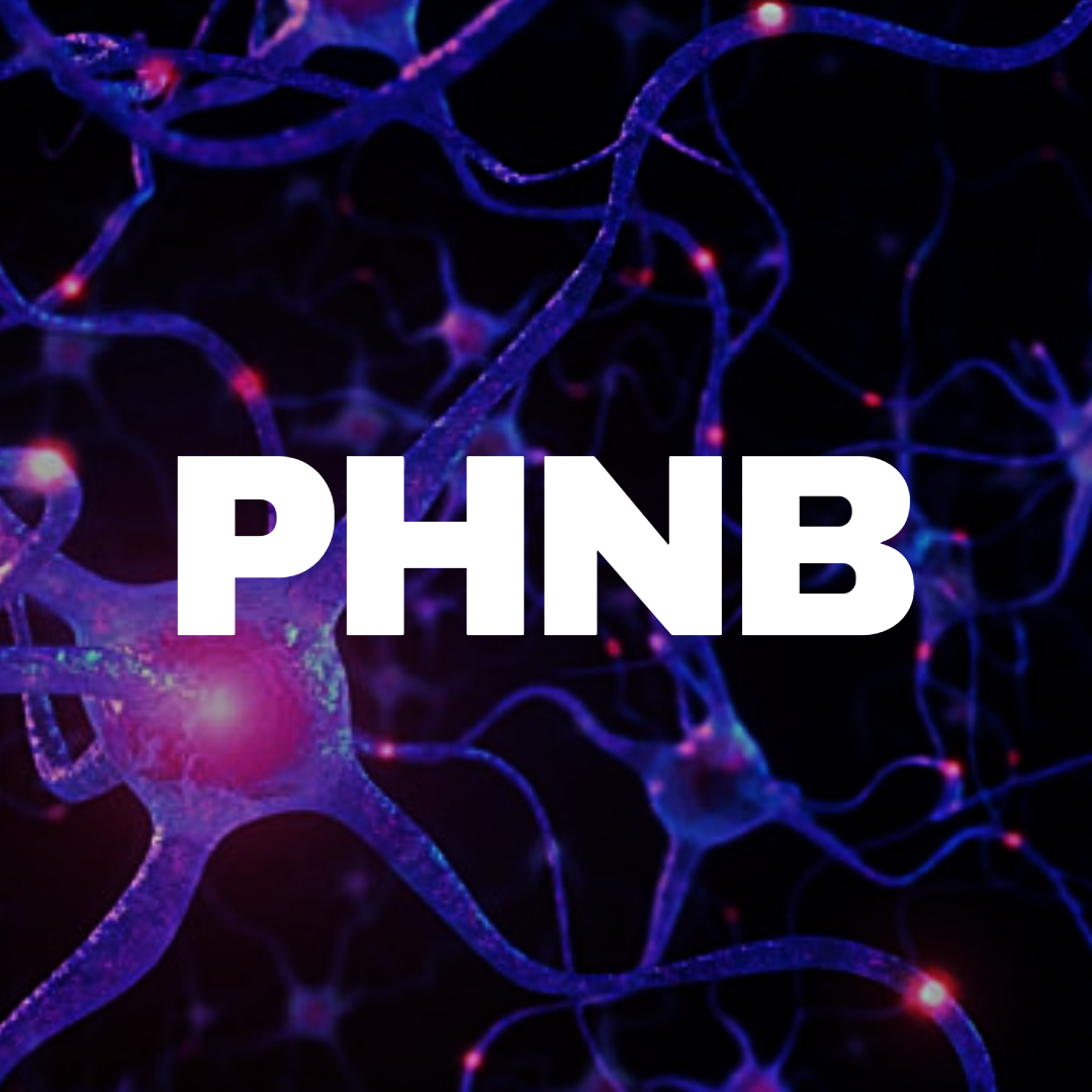 Bold white text that reads "PHNB" against an image of neurons.