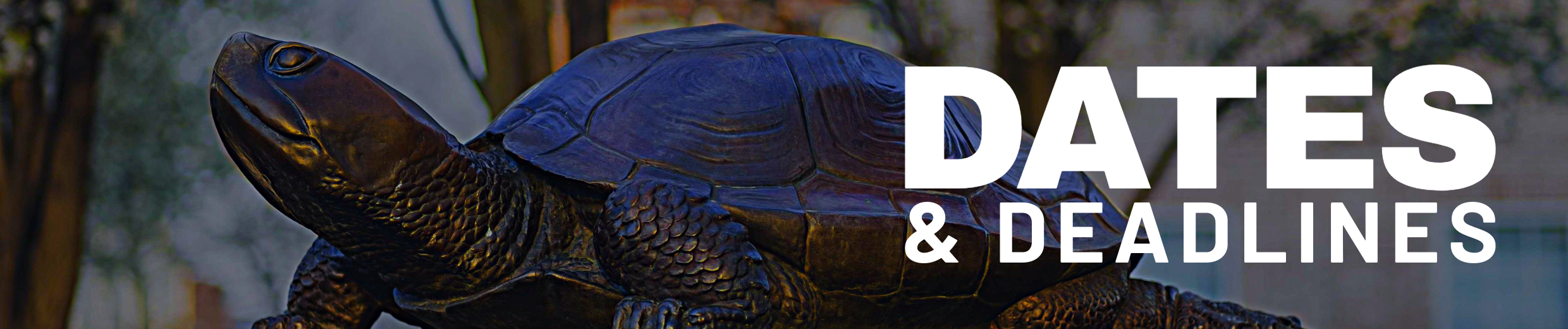 Bold white text reads "DATES & DEADLINES" in front of a picture of Testudo, a bronze terrapin statue.