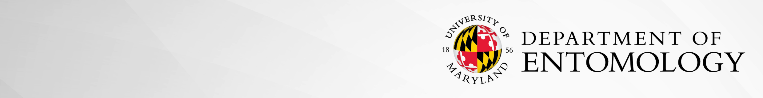 White banner with the University of Maryland logo for the Department of Entomology.