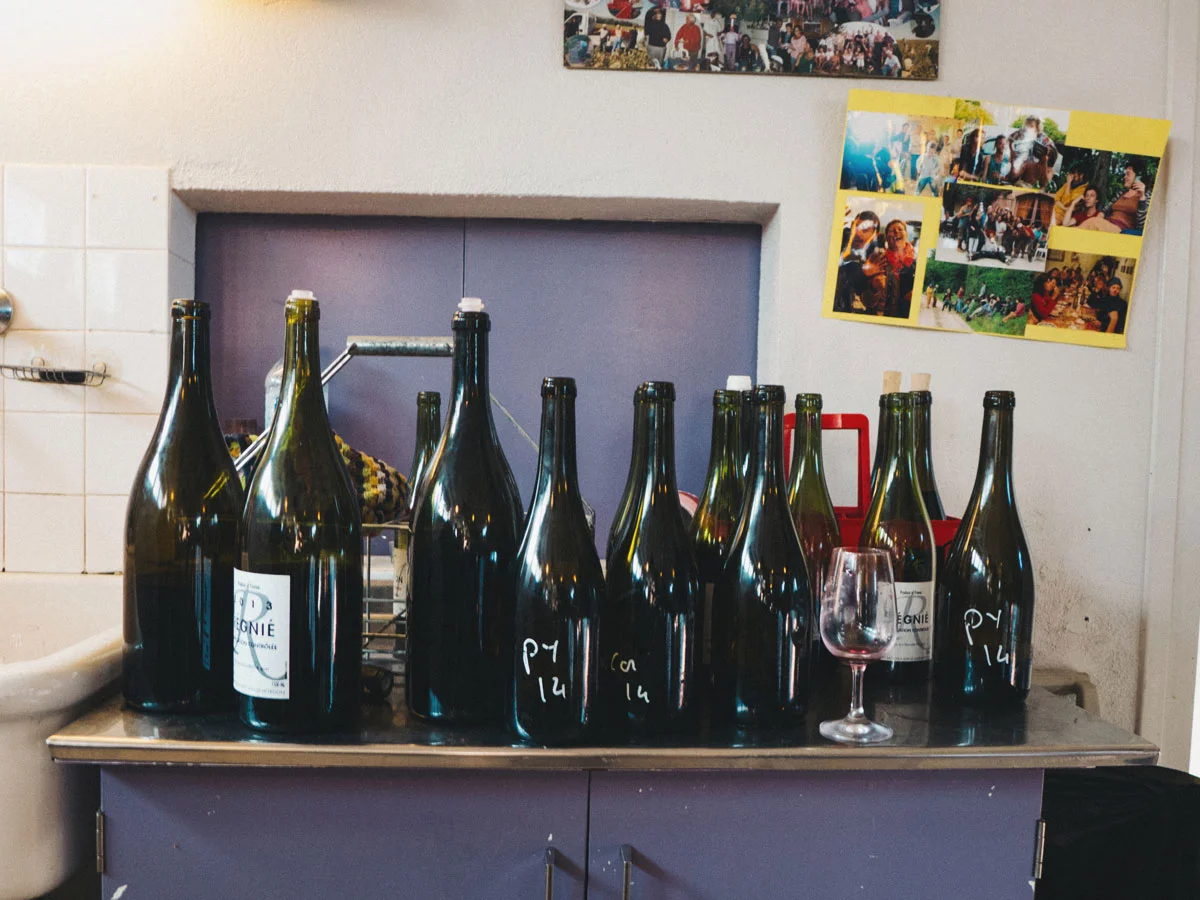Tasting through 2014 samples of Foillard, Breton, Thevenet & Lapierre.