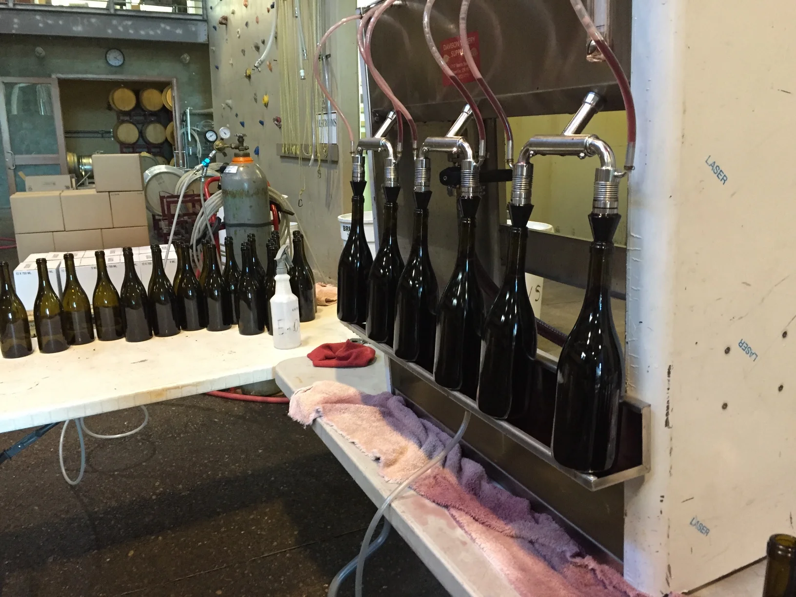 First day on the job yesterday. Hand bottled 35 cases of Pinot. Freelance work, got paid with a case of wine. Funny story, we didn't notice until we bottled everything that one of the fill-noxzles had fallen into one of the bottles... Had to go thru each case and shine a flashlight in the punt of the bottle til we found it.