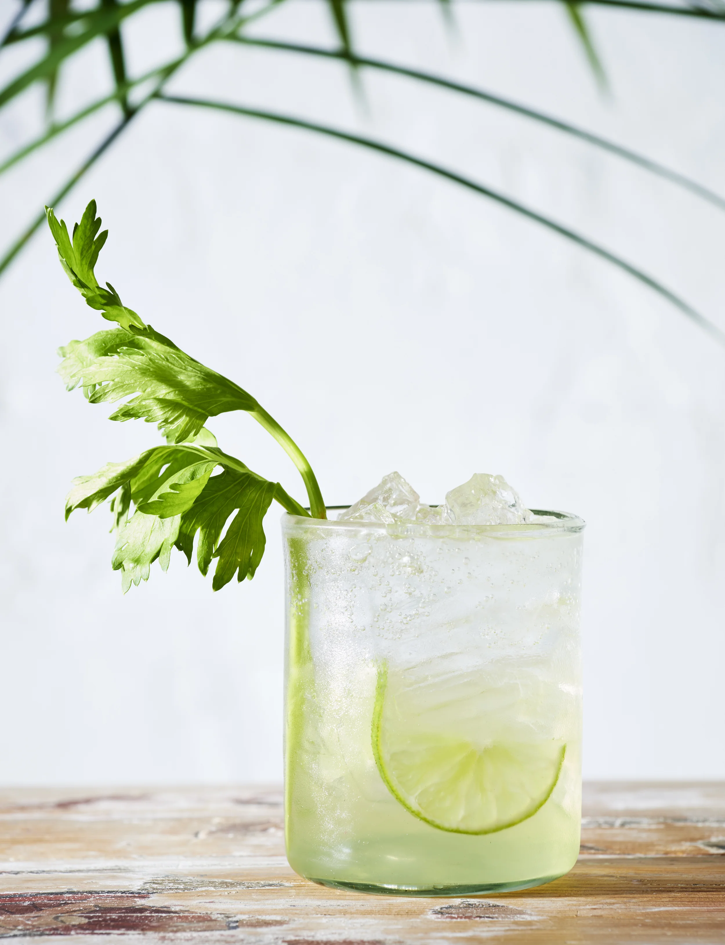 160116-Celery-Gin-Spritz-404.jpg