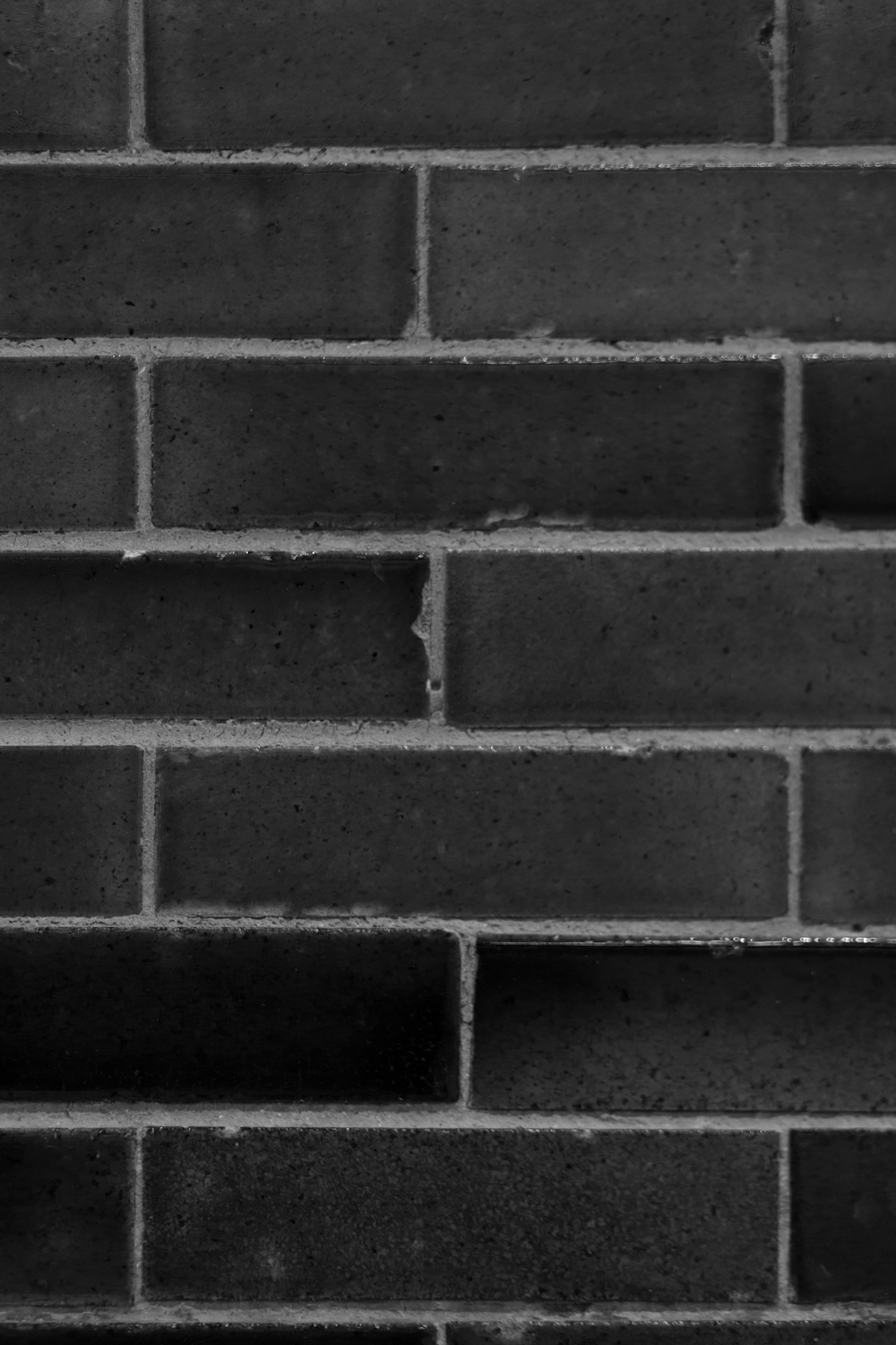 processed_1500__MG_9701-Edit.jpg