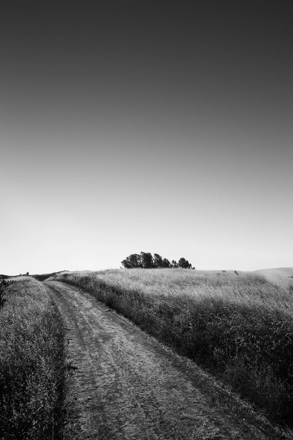 The road east.