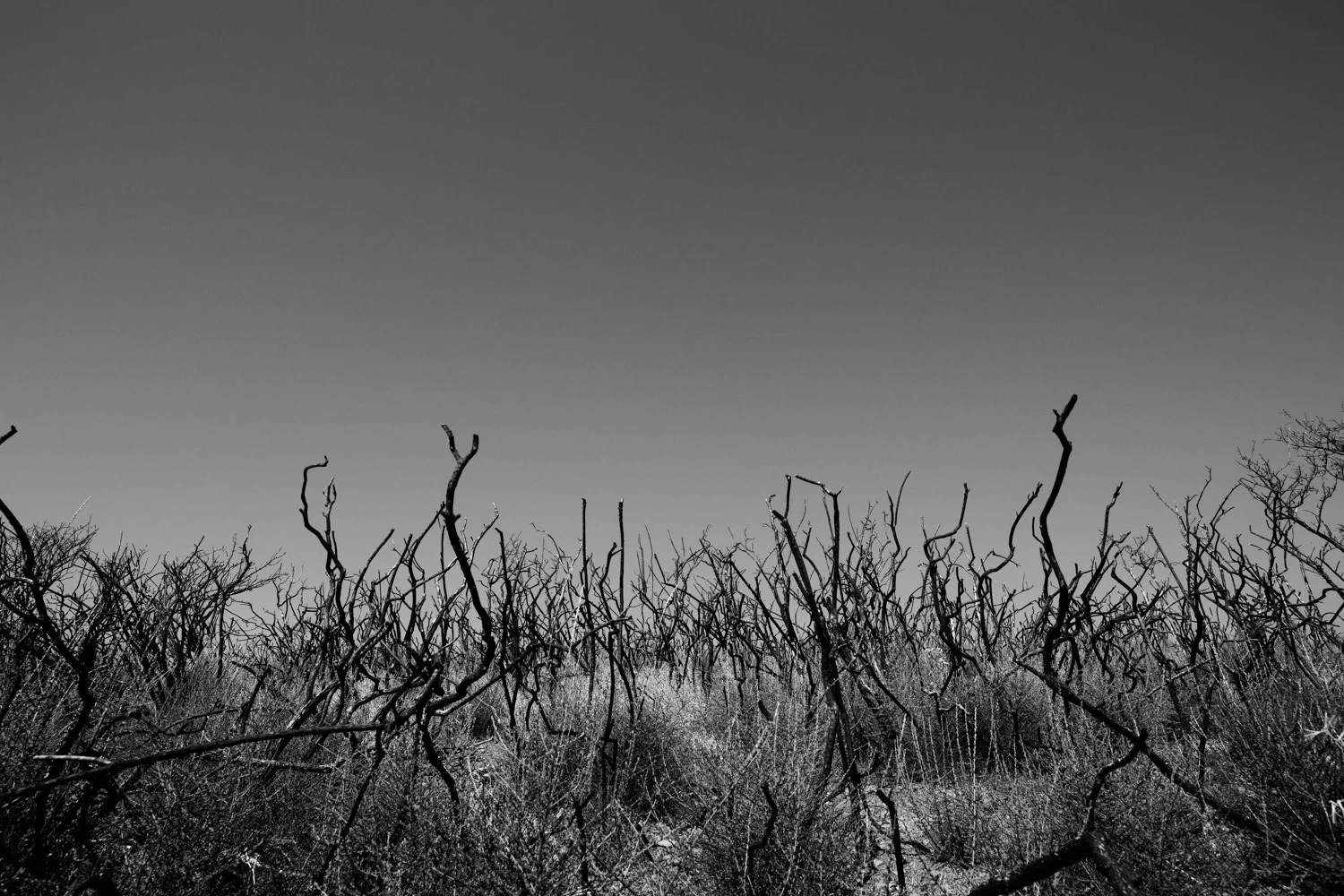 Memories of the blaze