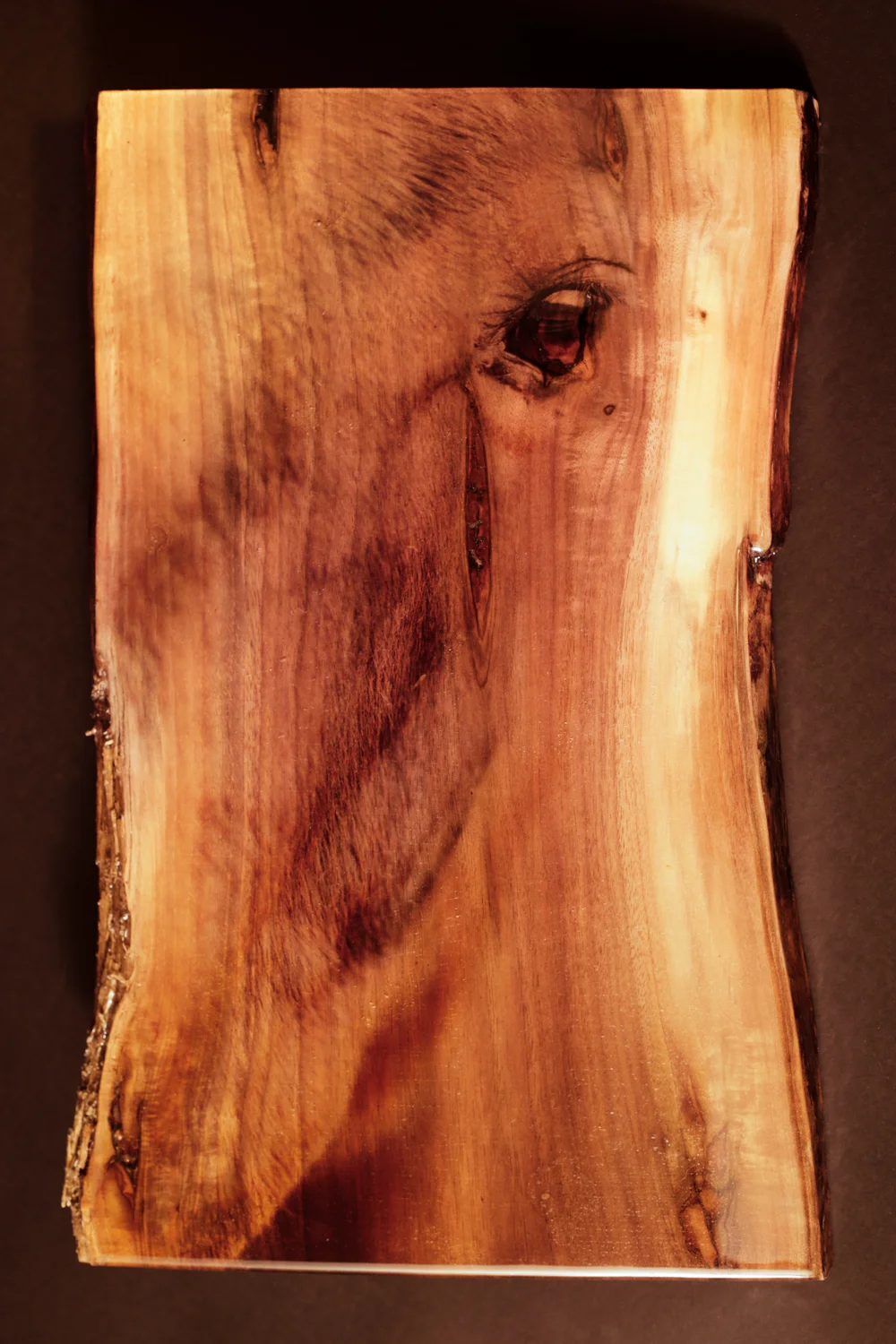 The Horse - One of a Kind - Woodprint