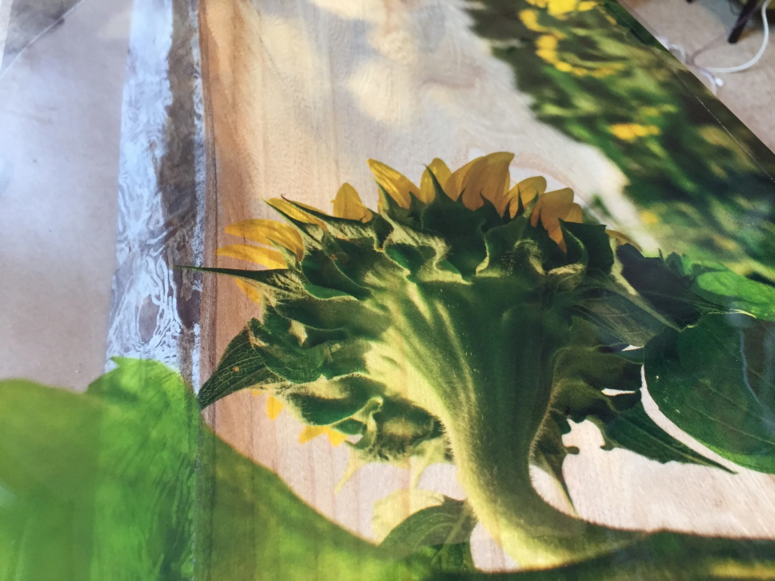 Emulsion Transfers on Live Edge Wood (Step by Step)