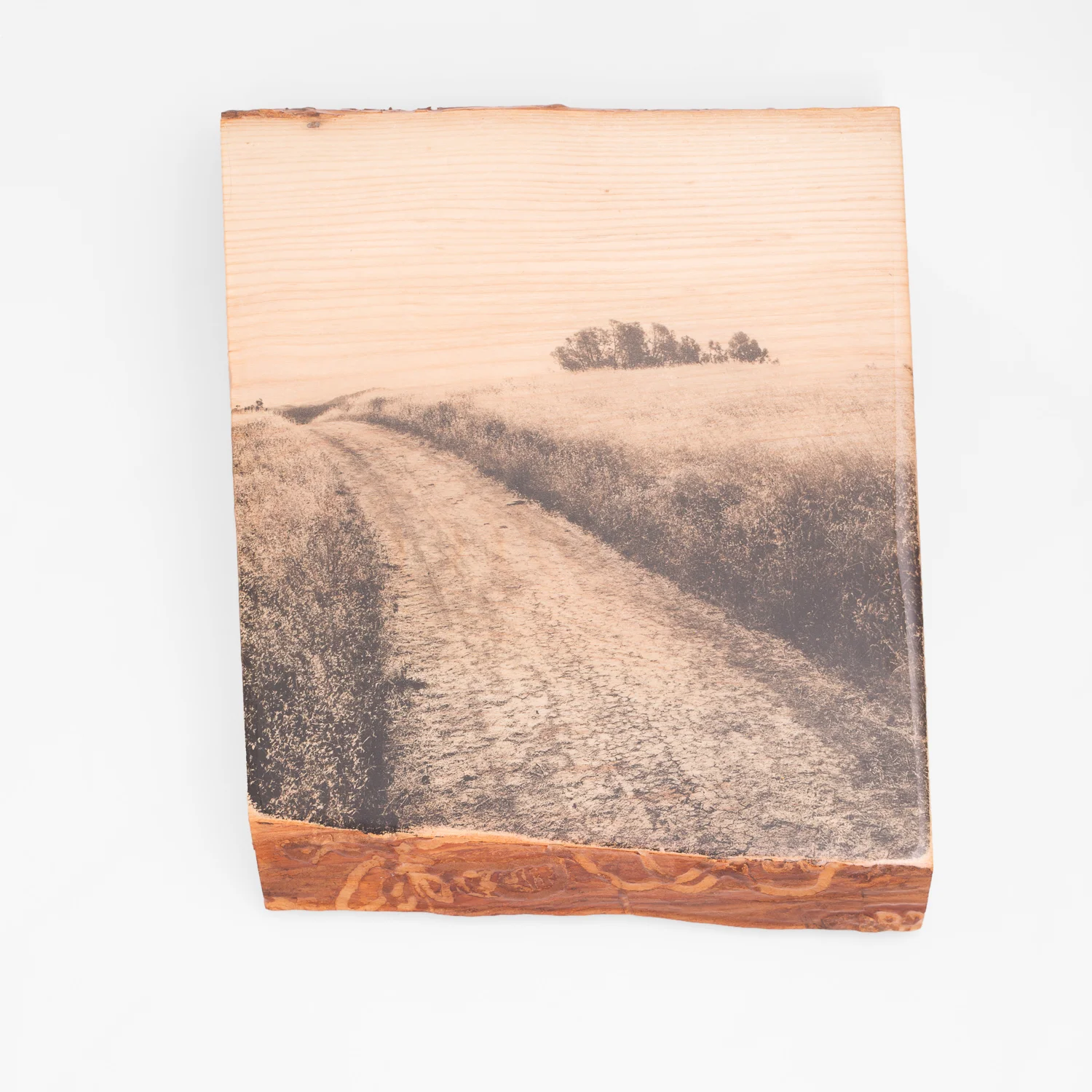 Mt Diablo, Field and Ash - One of a Kind - Woodprint