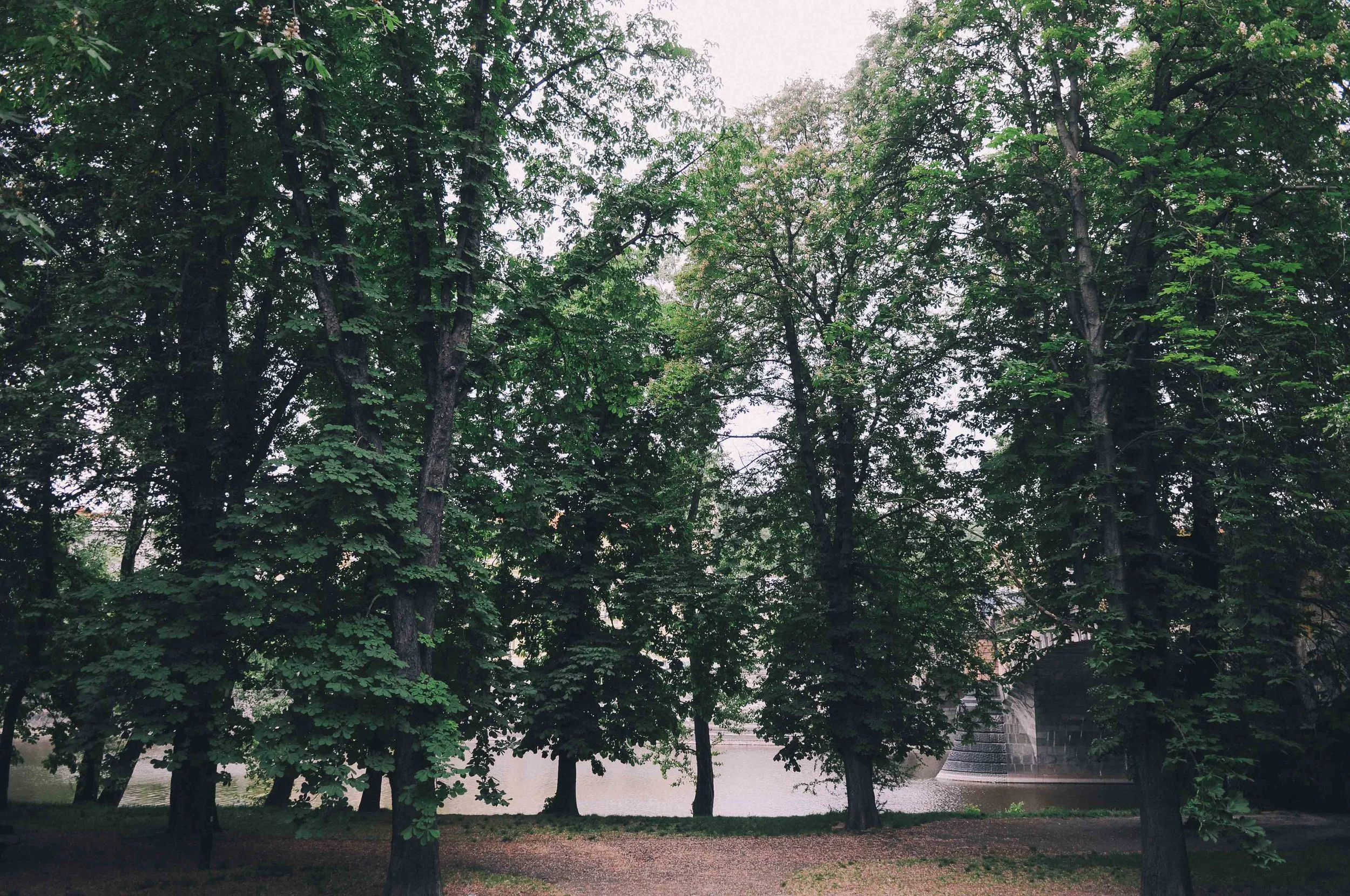 DSC_0009_2.jpg