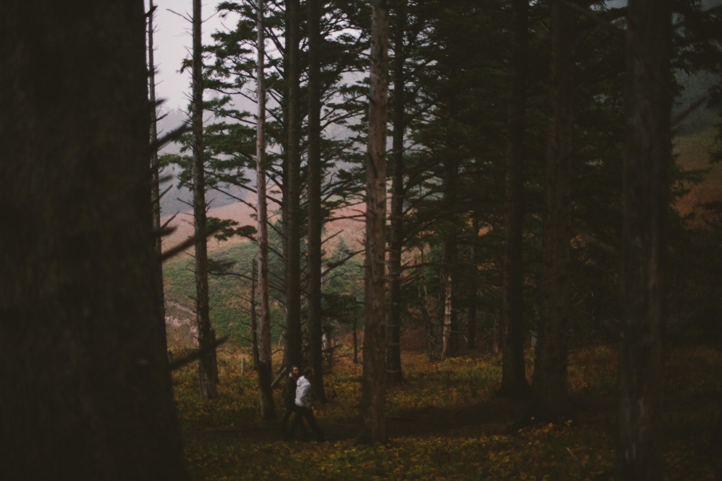 Libby + Derrick | Oswald West State Park Engagement — Cabell Tice ...