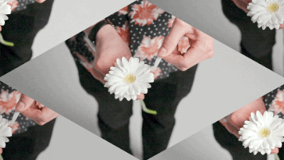 gif6.gif