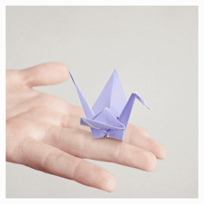 Origami Animation