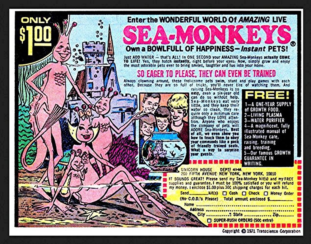 03 Sea Monkeys Ad 1.jpg