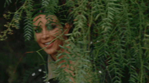 kimk .gif